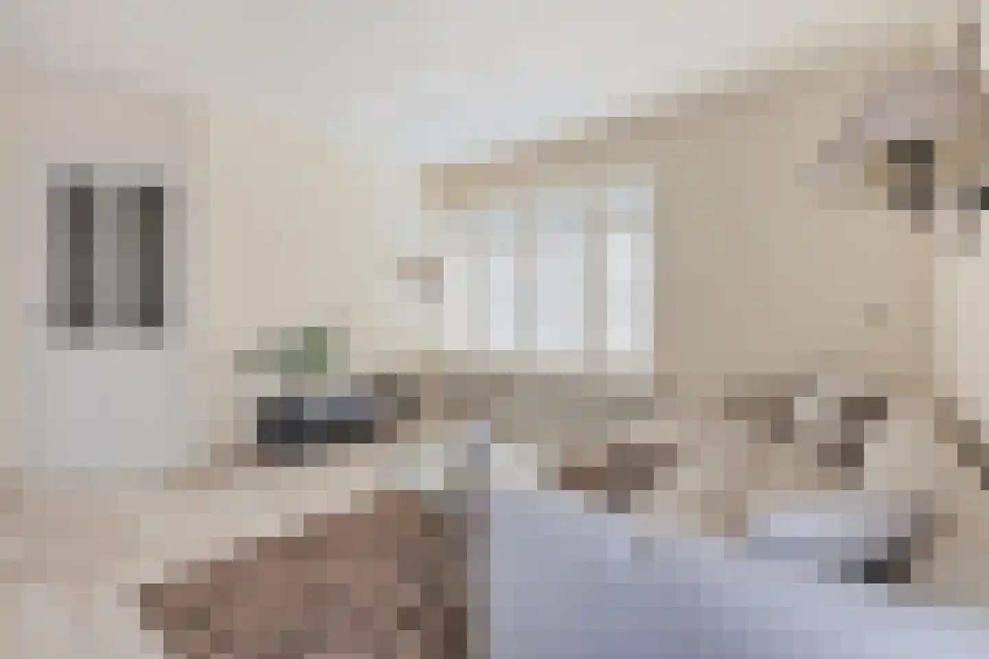 Raaltestraat 37 Tilburg thumbnail 7