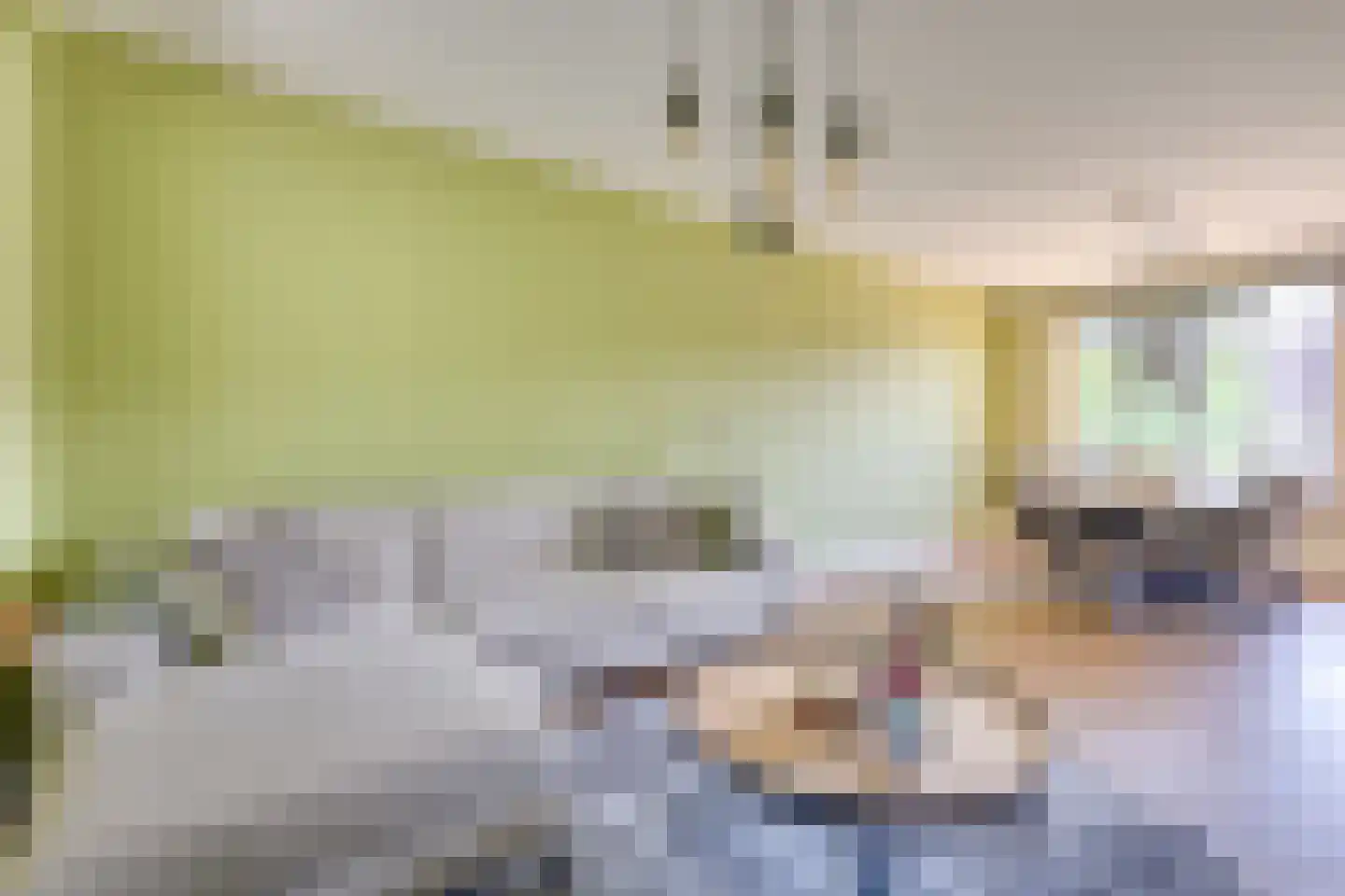 Raam 109 Uden thumbnail 16