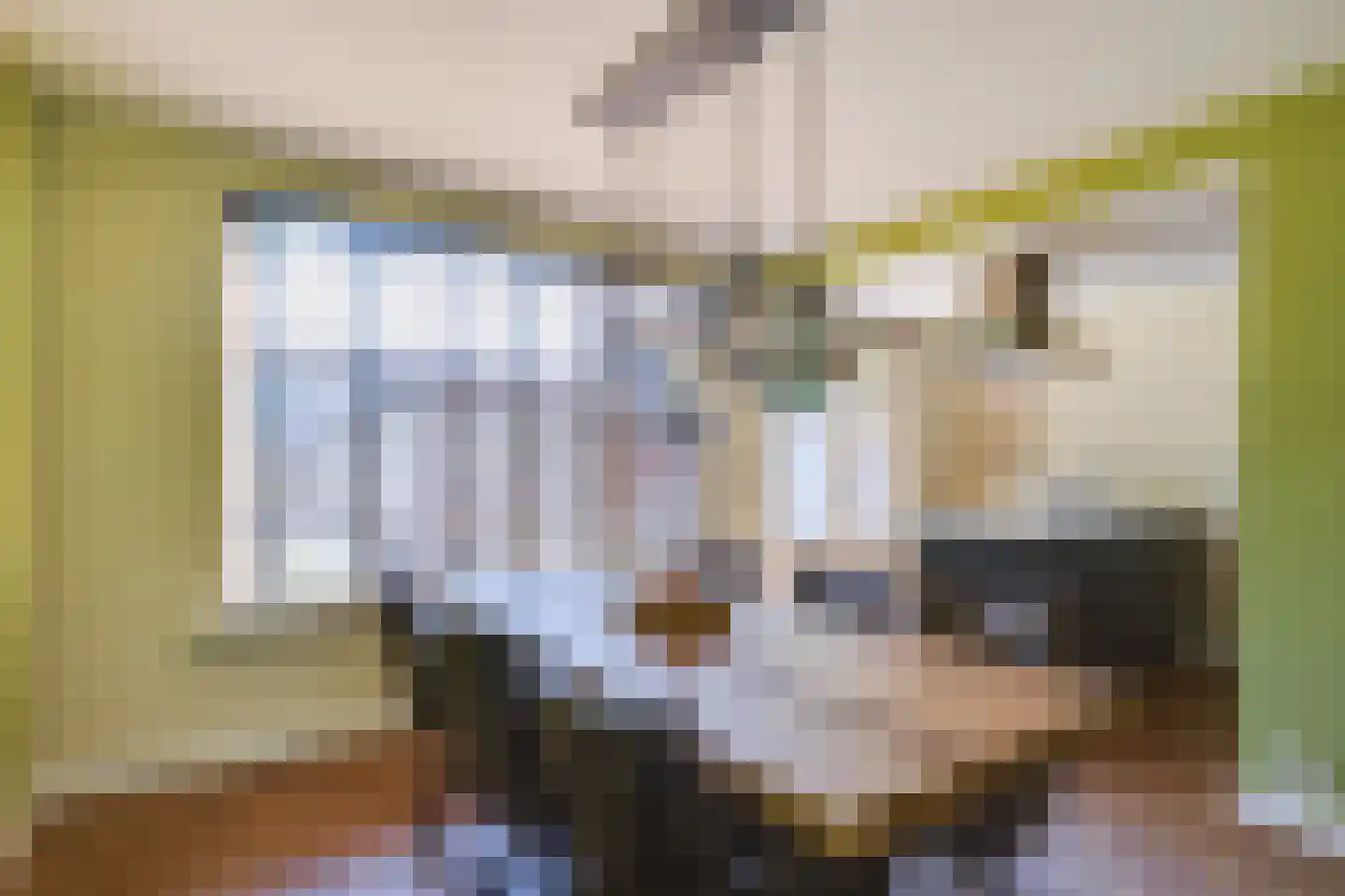 Raam 109 Uden thumbnail 17