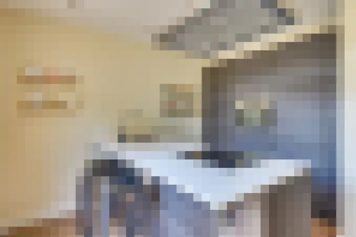 Raam 109 Uden thumbnail 19