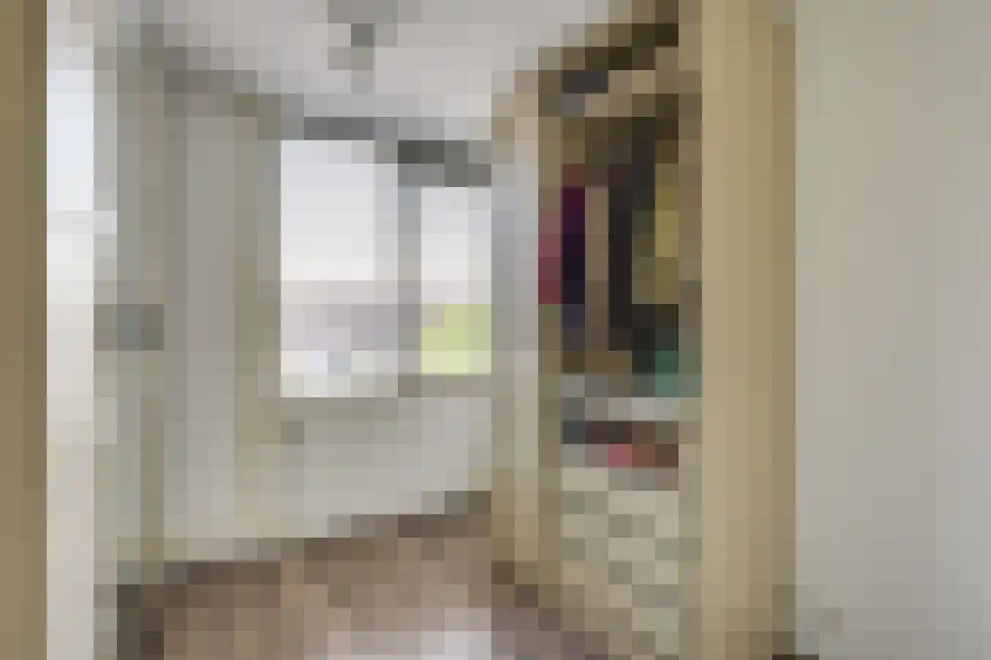 Raam 109 Uden thumbnail 22