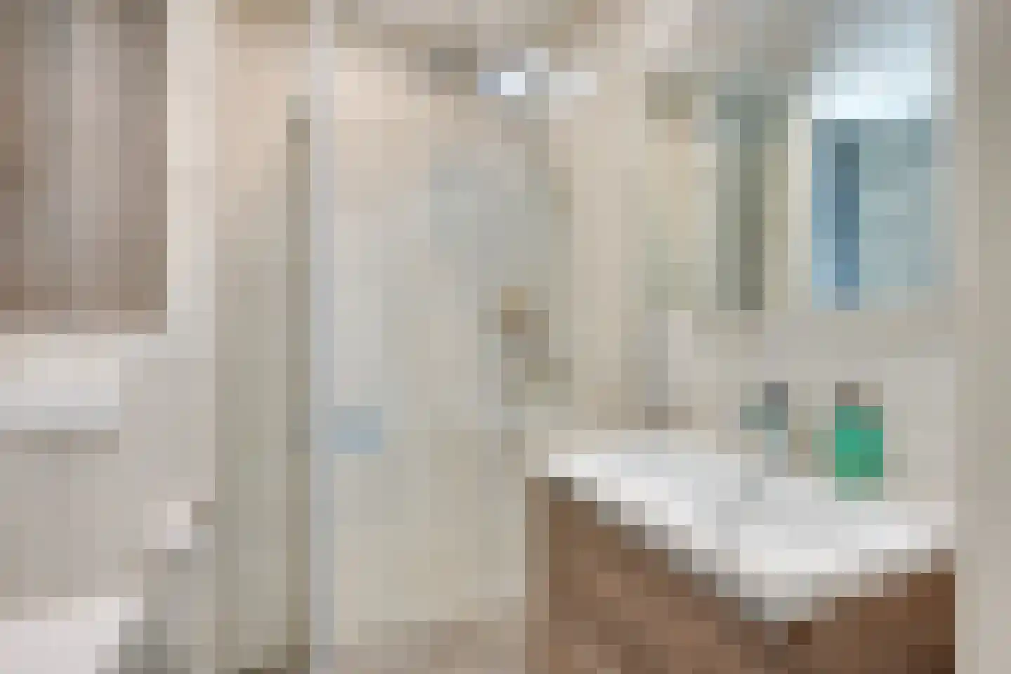 Raam 109 Uden thumbnail 24