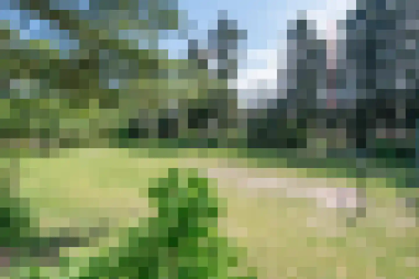 Raam 109 Uden thumbnail 4