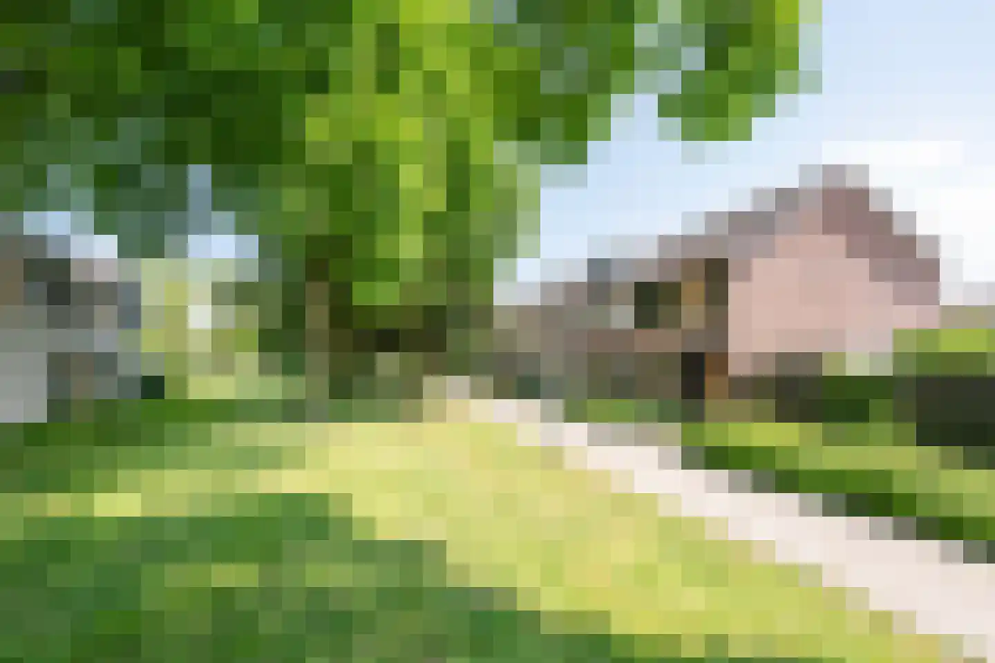 Raam 109 Uden thumbnail 5
