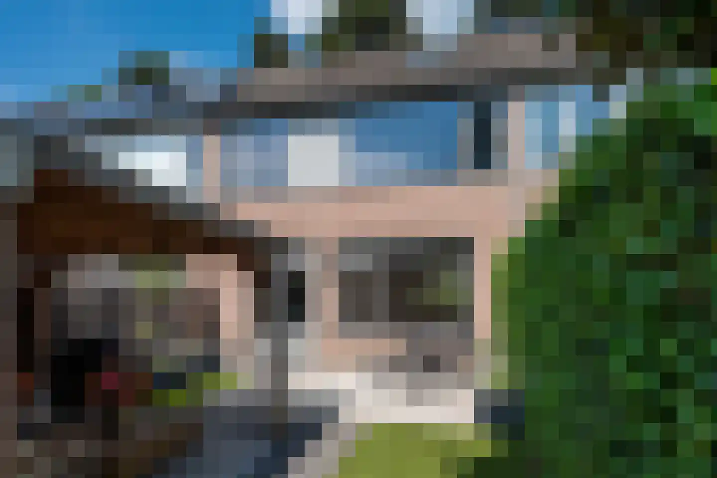 Raam 109 Uden thumbnail 9