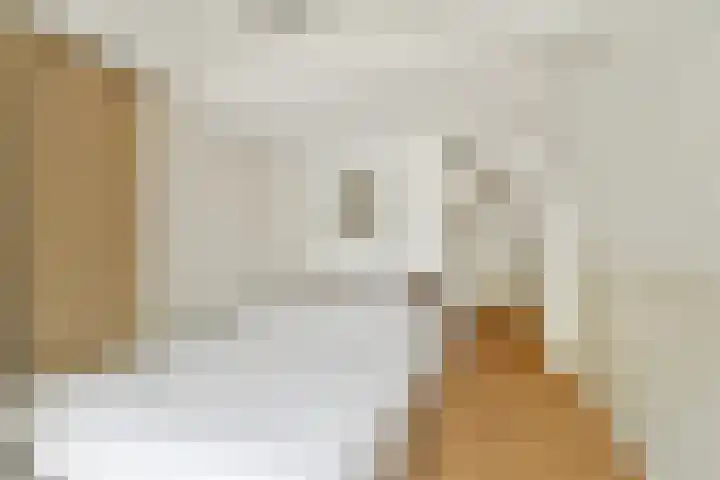 Raam 111 Gouda thumbnail 13