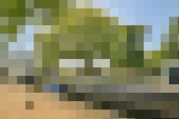 Raam 111 Gouda thumbnail 21