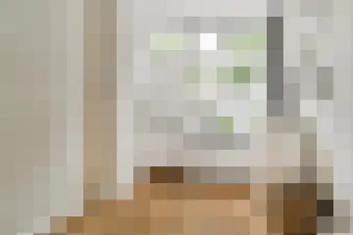 Raam 111 Gouda thumbnail 5