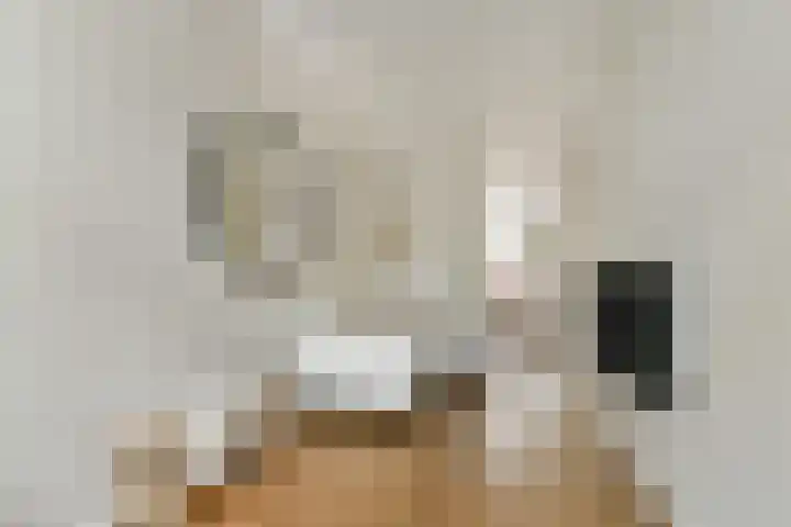 Raam 111 Gouda thumbnail 7