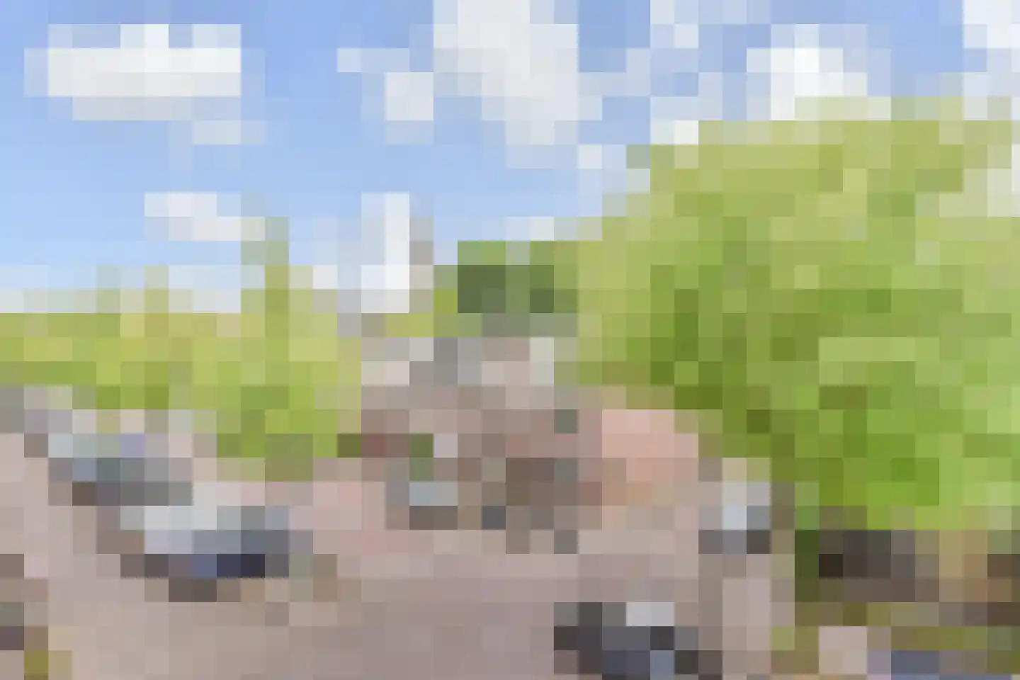 Raam 114 Delft thumbnail 40