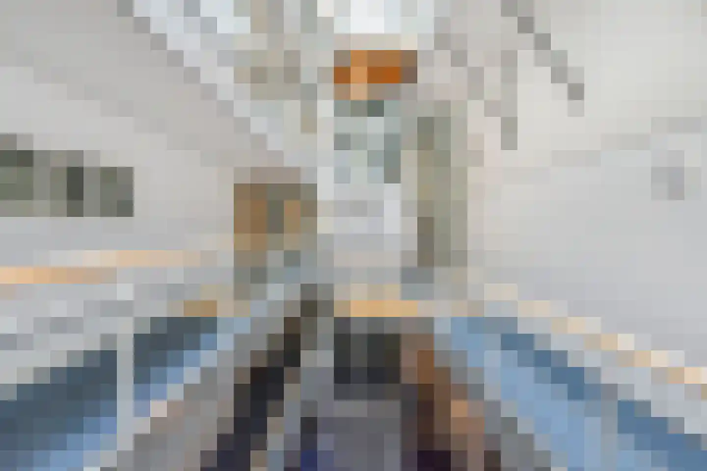 Raam 114 Delft thumbnail 8