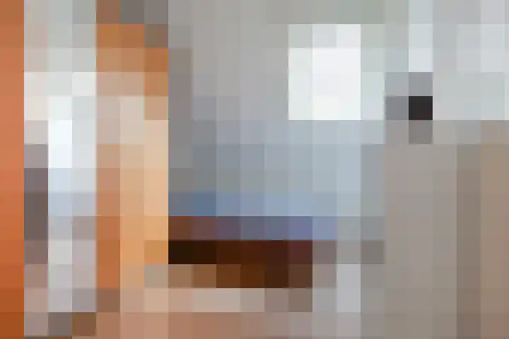 Raam 123 Gouda thumbnail 34