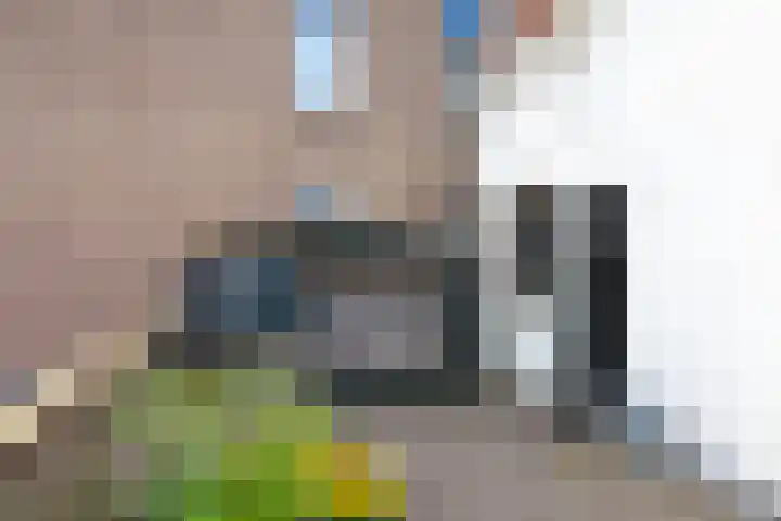 Raam 123 Gouda thumbnail 4