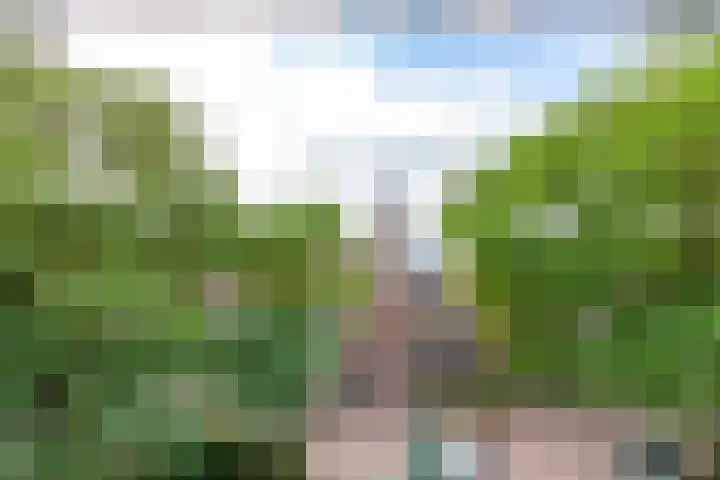 Raam 123 Gouda thumbnail 40