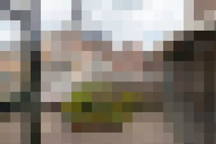 Raam 123 Gouda thumbnail 43