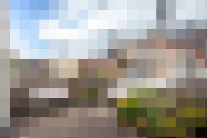 Raam 123 Gouda thumbnail 44