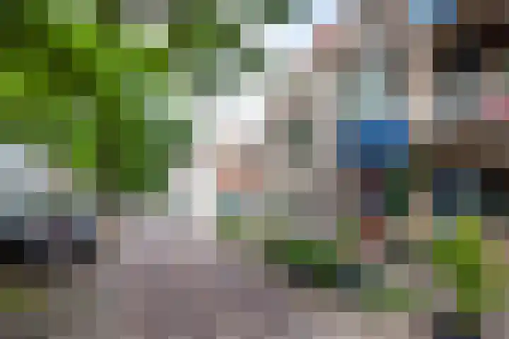 Raam 123 Gouda thumbnail 49