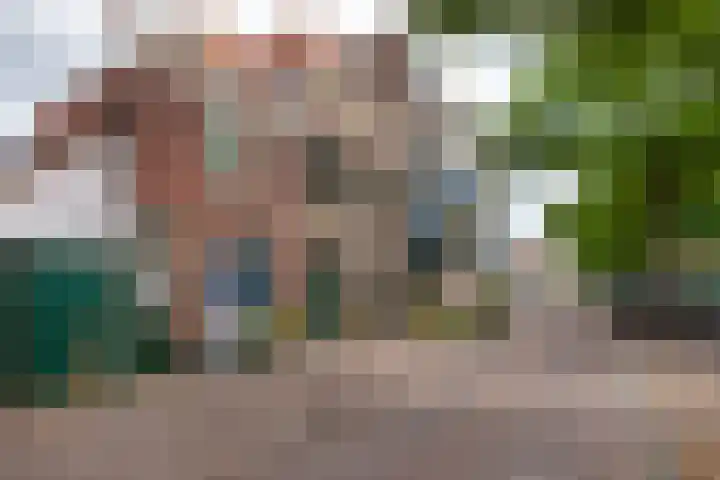 Raam 123 Gouda thumbnail 50