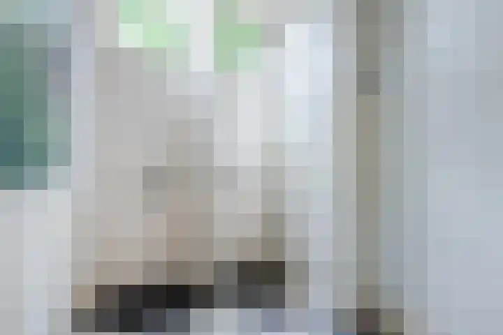 Raam 123 Gouda thumbnail 6