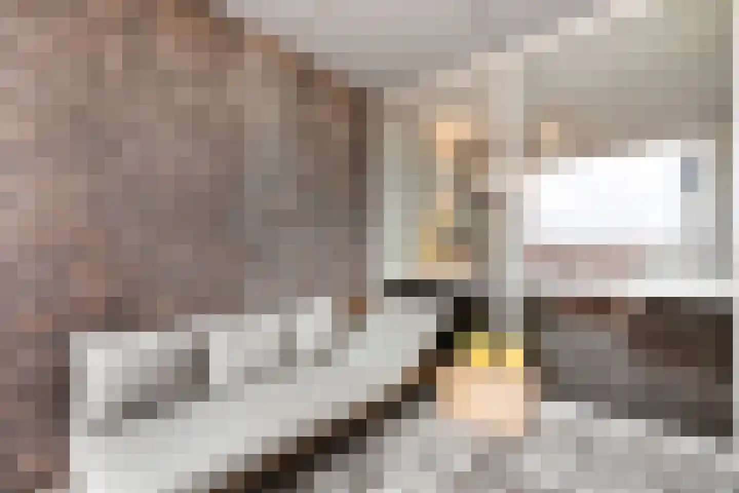 Raam 136 Delft thumbnail 17
