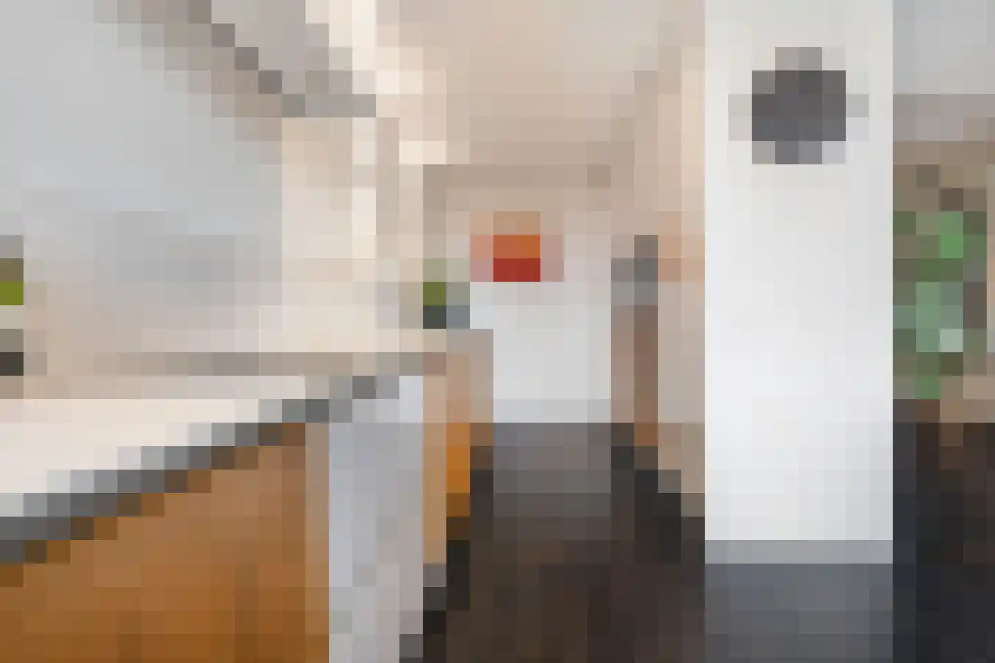 Raam 136 Delft thumbnail 20