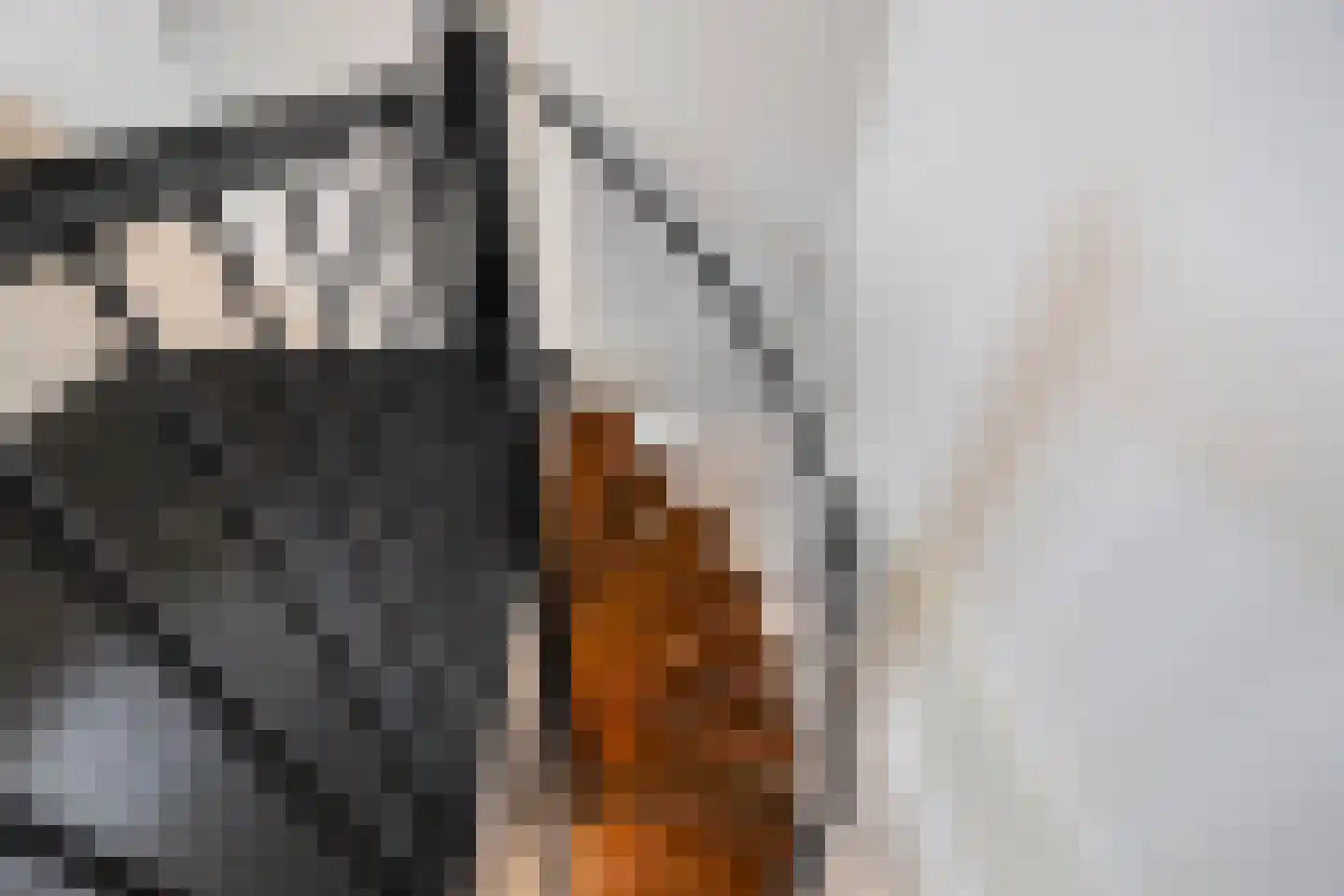 Raam 136 Delft thumbnail 24