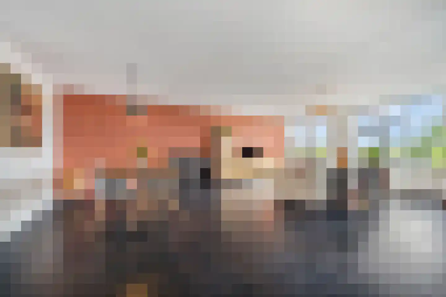Raam 136 Delft thumbnail 8