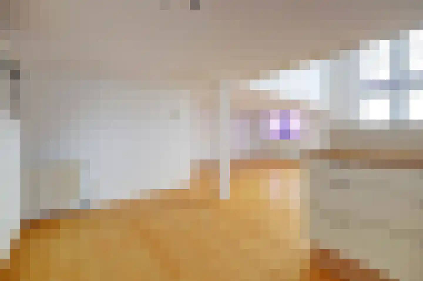 Raam 146 Delft thumbnail 14