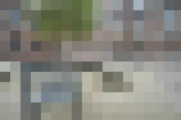 Raam 146 Delft thumbnail 30
