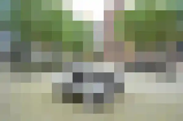 Raam 146 Delft thumbnail 4