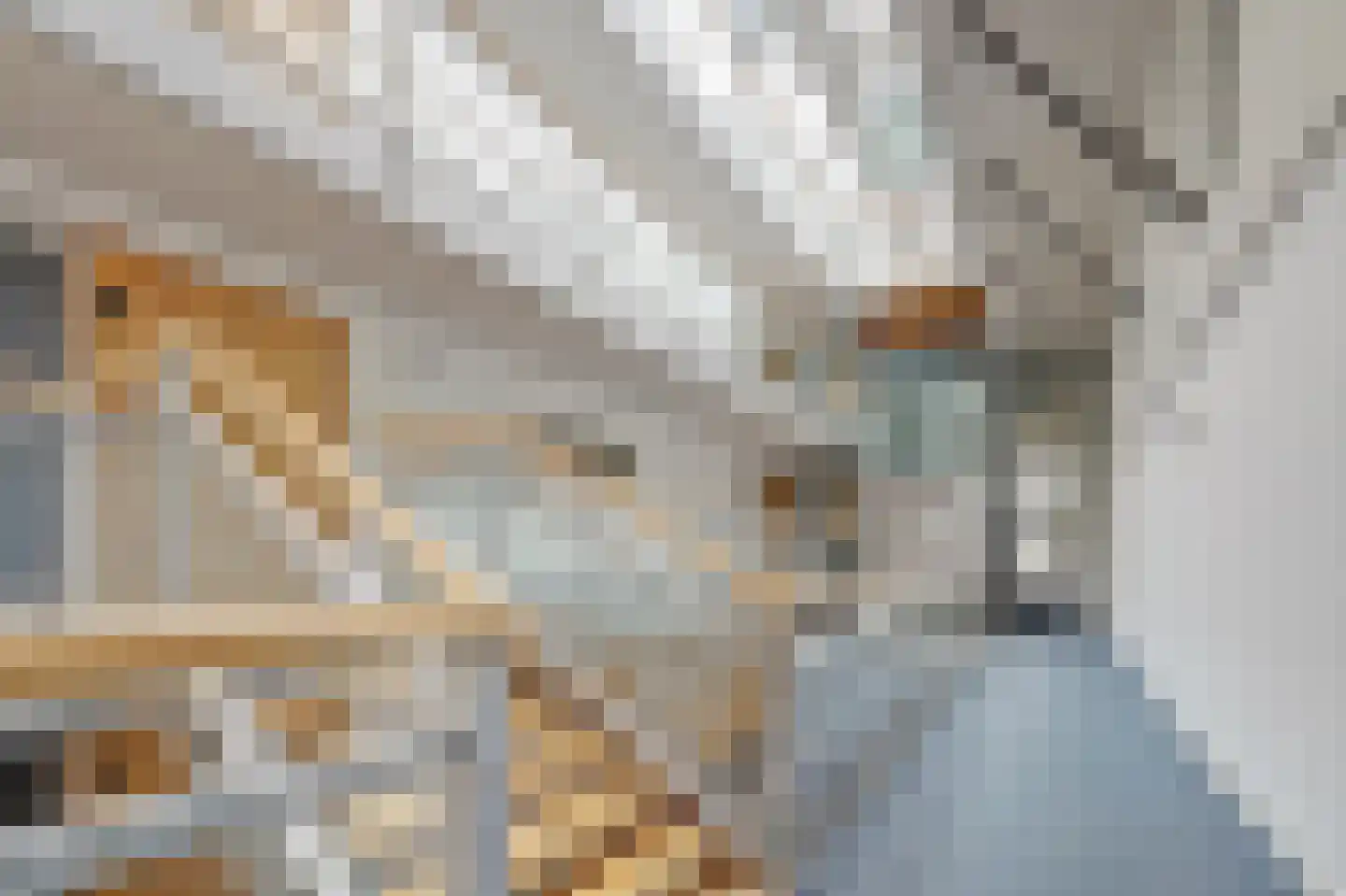 Raam 146 Delft thumbnail 6
