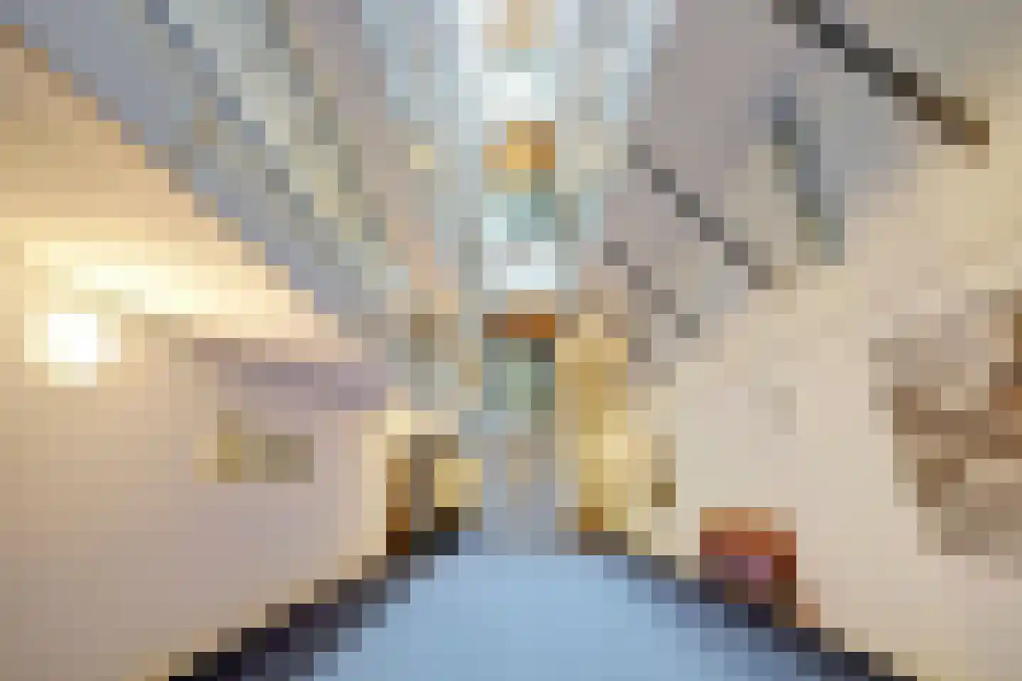 Raam 146 Delft thumbnail 7