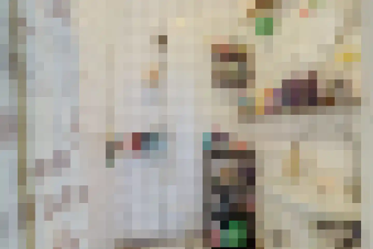 Raam 148 Gouda thumbnail 21