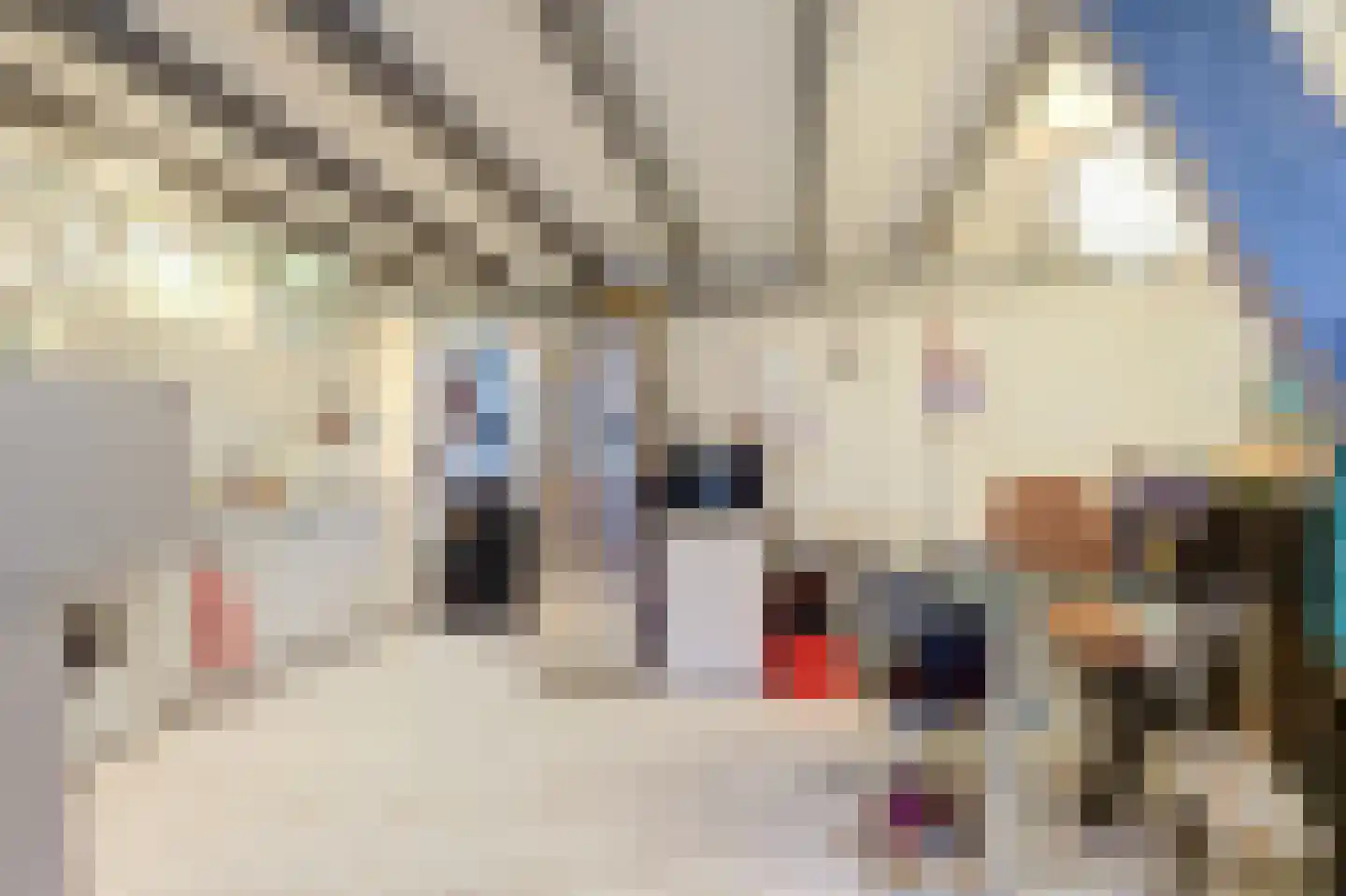 Raam 148 Gouda thumbnail 24
