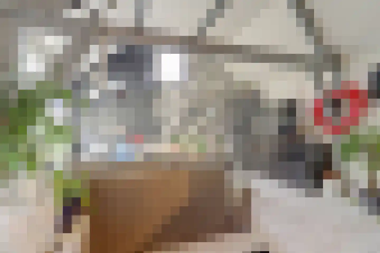 Raam 148 Gouda thumbnail 25