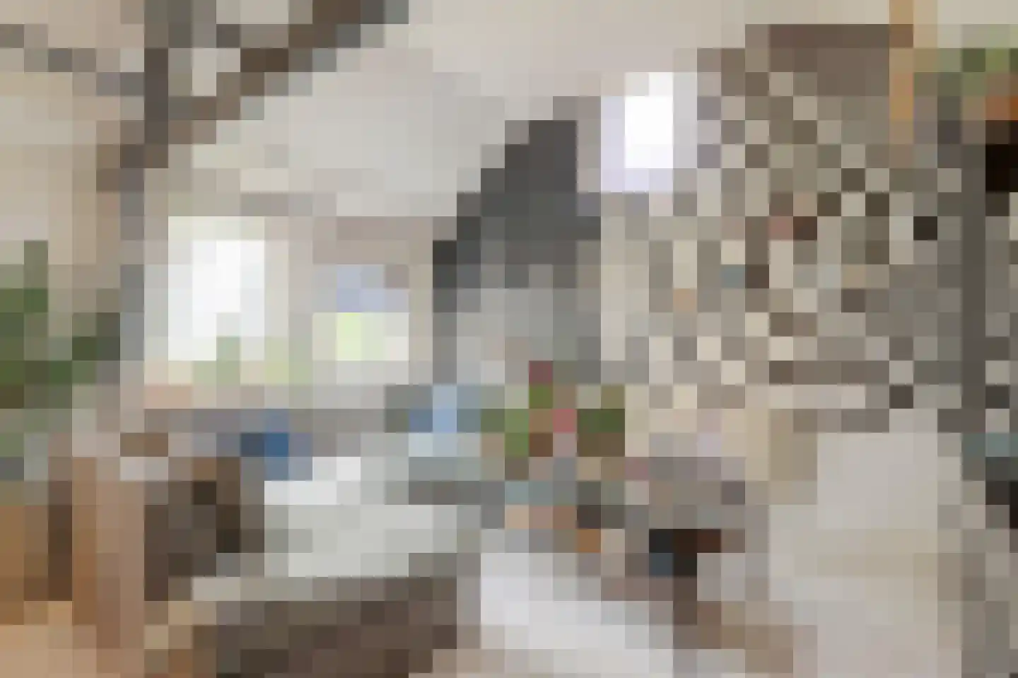 Raam 148 Gouda thumbnail 26