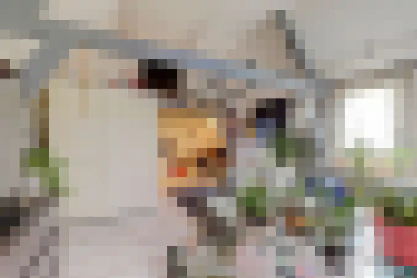 Raam 148 Gouda thumbnail 27