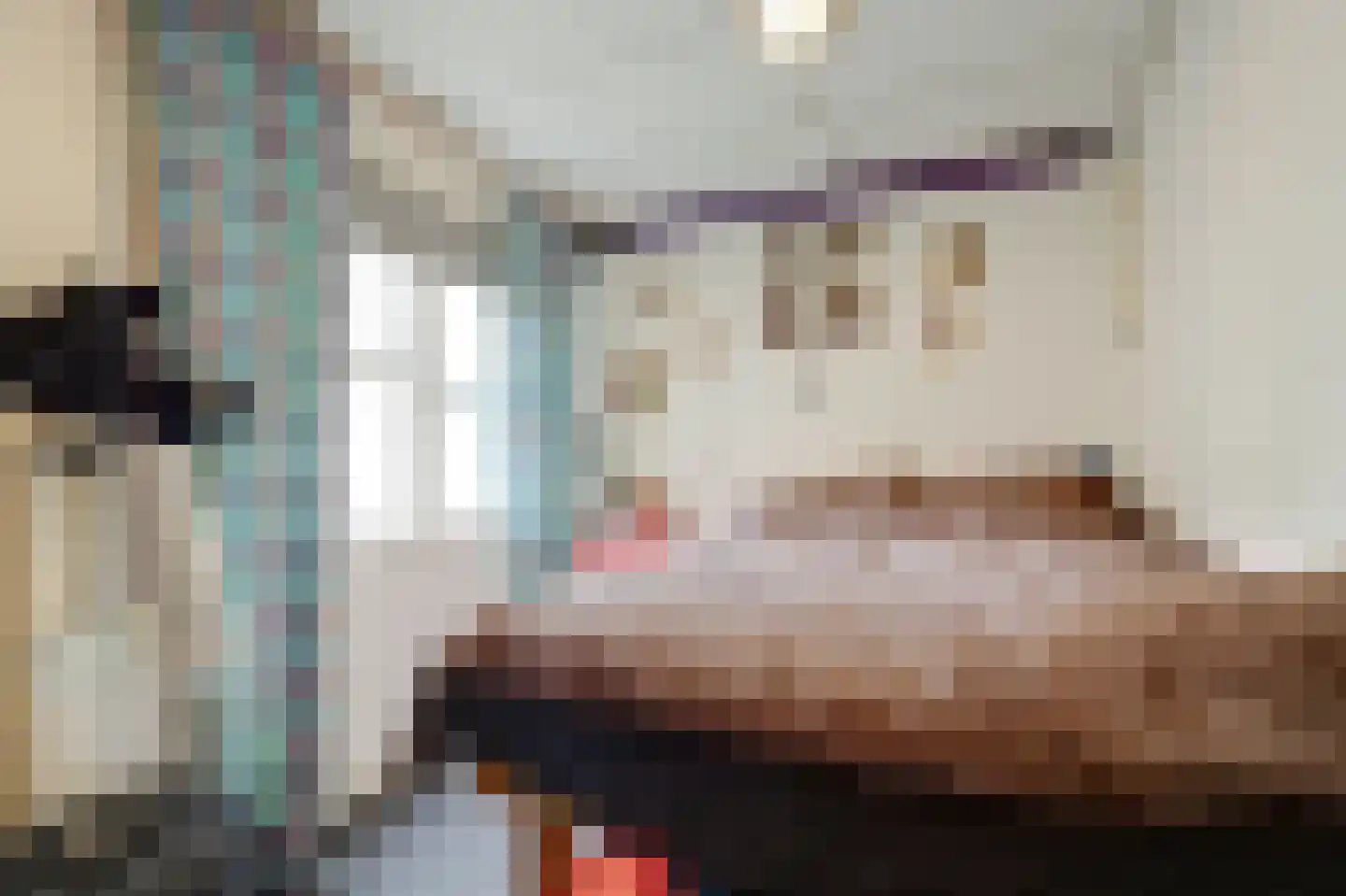 Raam 148 Gouda thumbnail 28