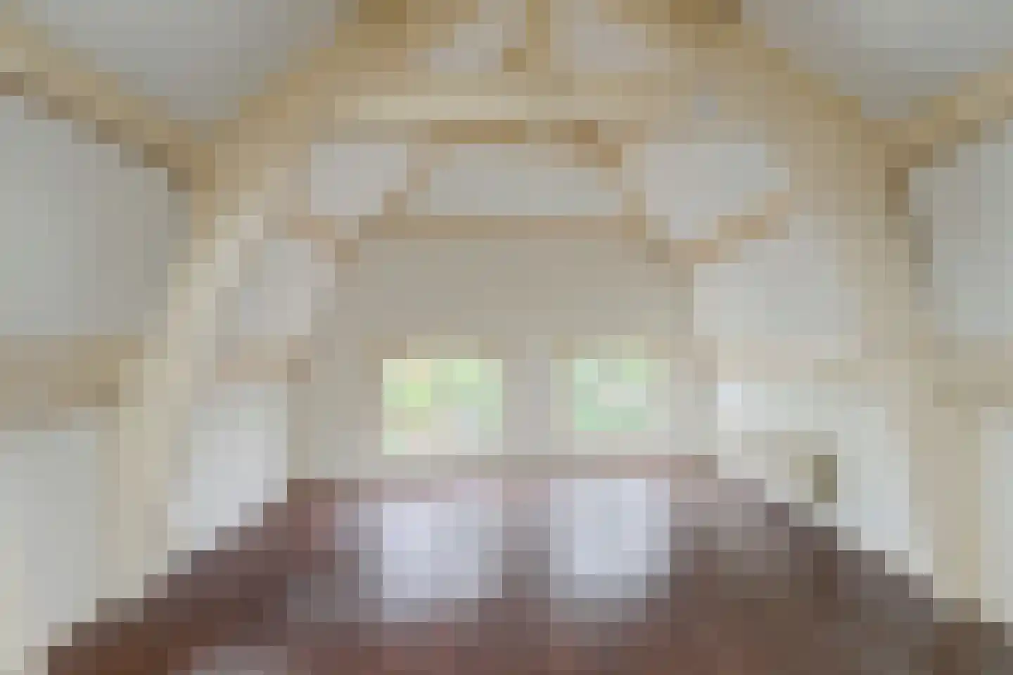 Raam 148 Gouda thumbnail 31