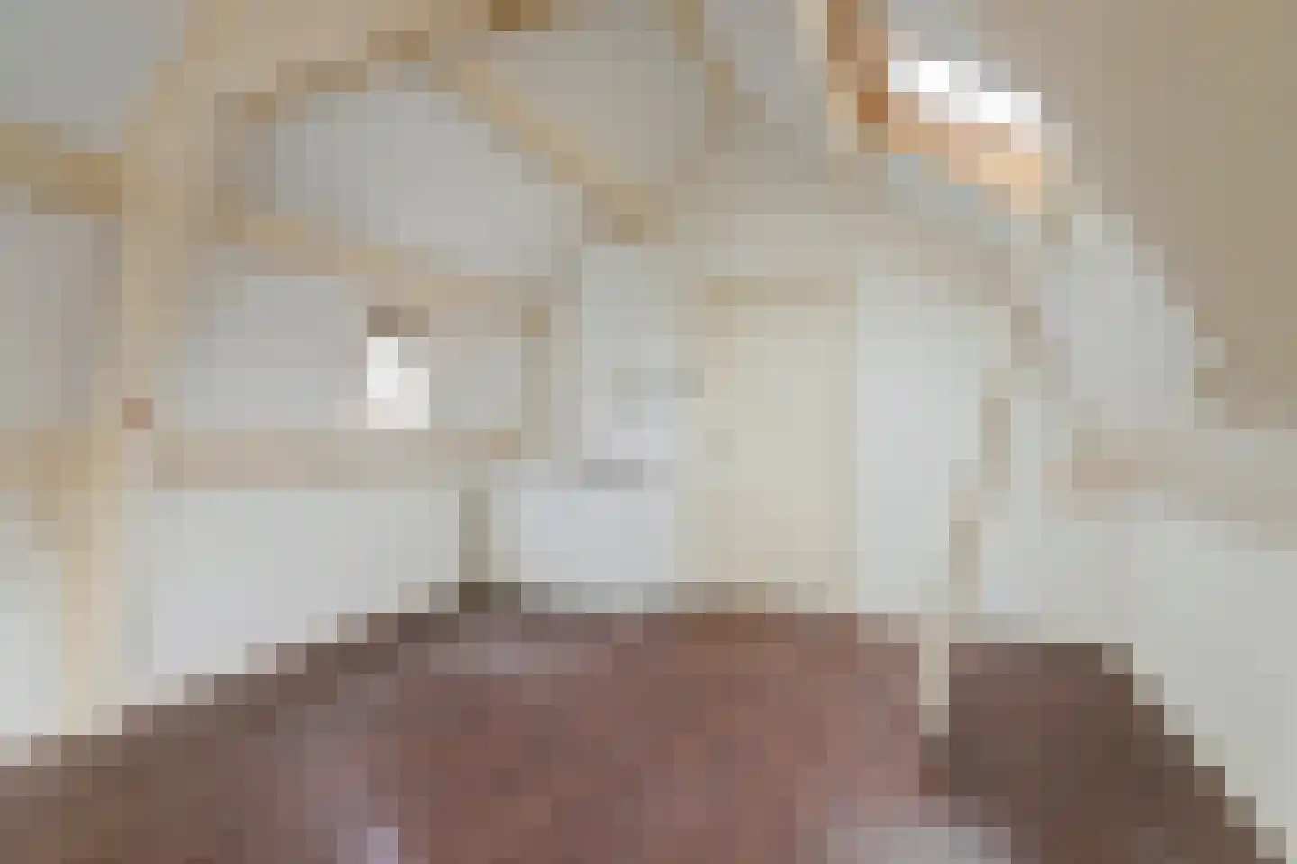 Raam 148 Gouda thumbnail 33