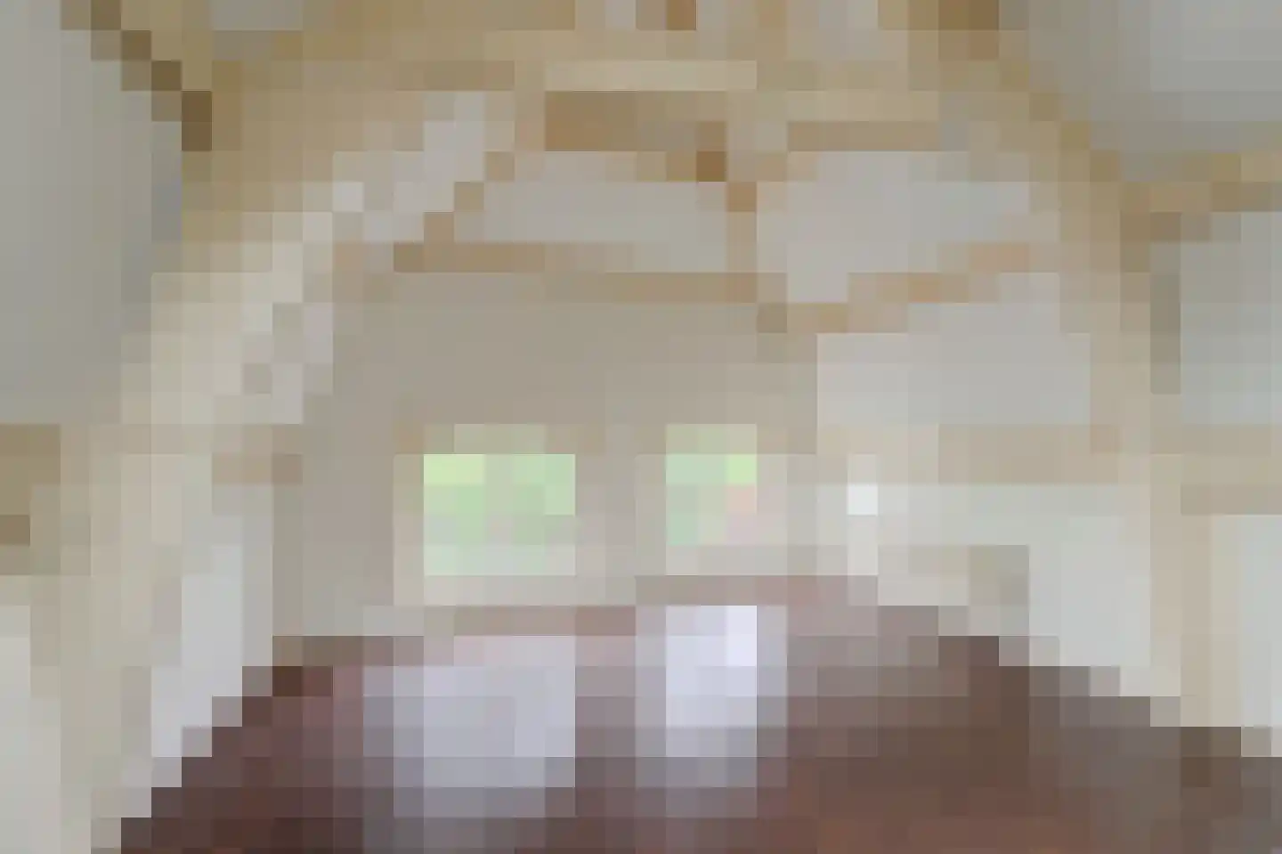 Raam 148 Gouda thumbnail 35