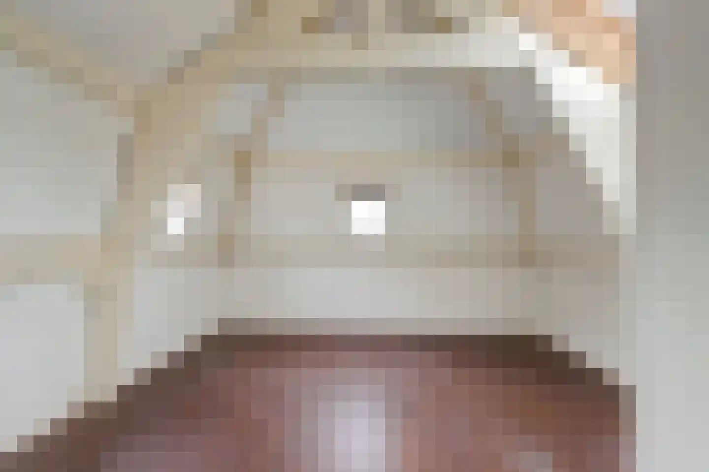 Raam 148 Gouda thumbnail 36
