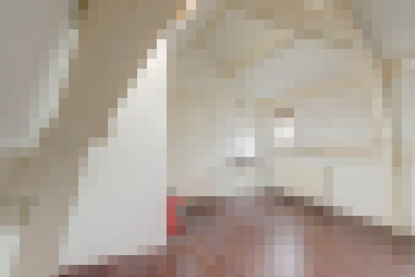 Raam 148 Gouda thumbnail 37