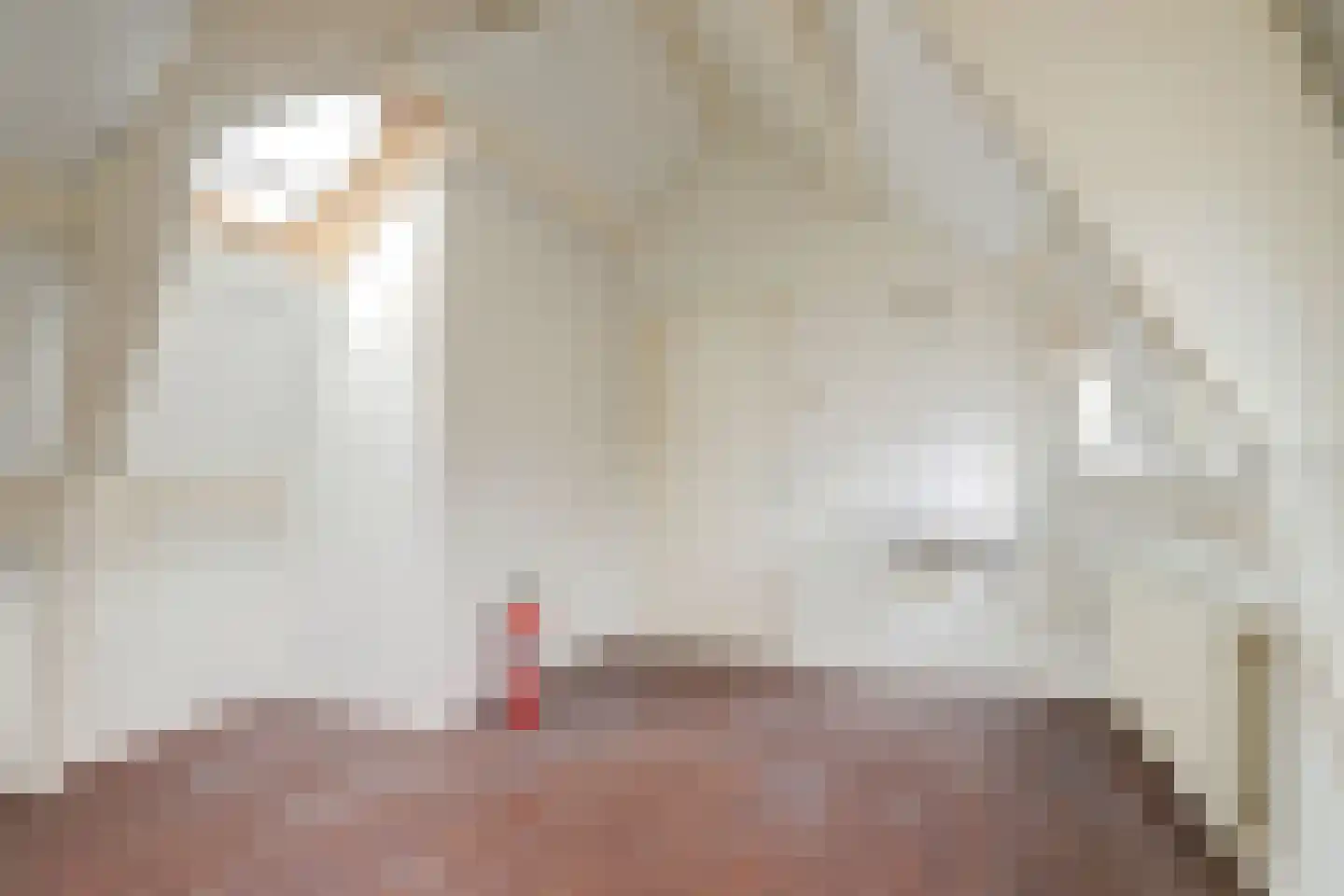 Raam 148 Gouda thumbnail 38