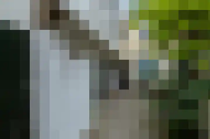 Raam 148 Gouda thumbnail 4