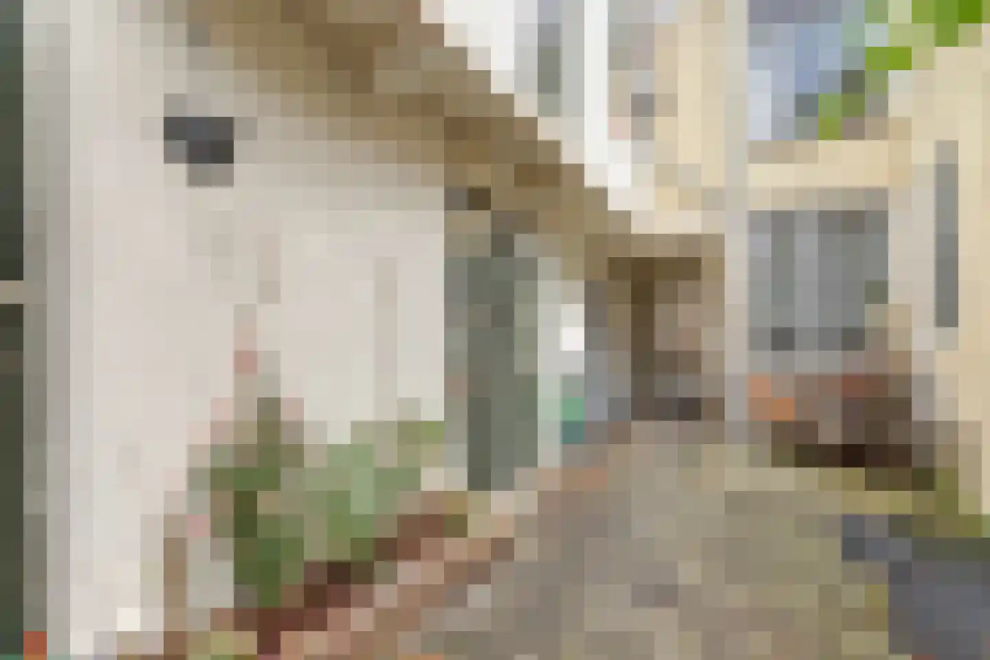 Raam 148 Gouda thumbnail 43