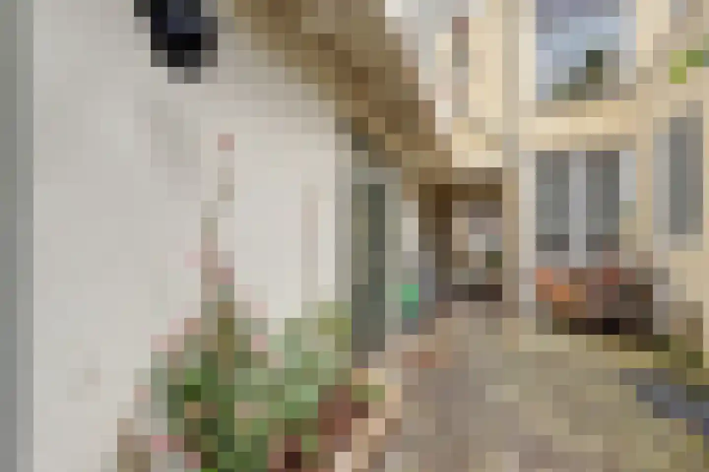 Raam 148 Gouda thumbnail 44