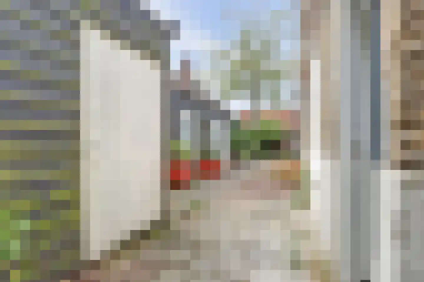 Raam 148 Gouda thumbnail 45