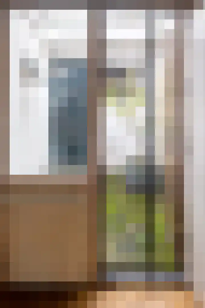 Raam 155 Gouda thumbnail 11