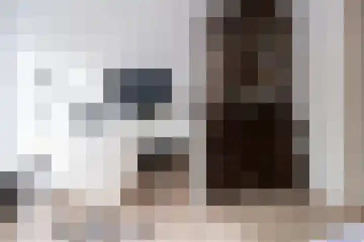 Raam 155 Gouda thumbnail 14